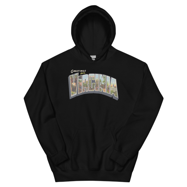 Greetings from Virginia Hoodie