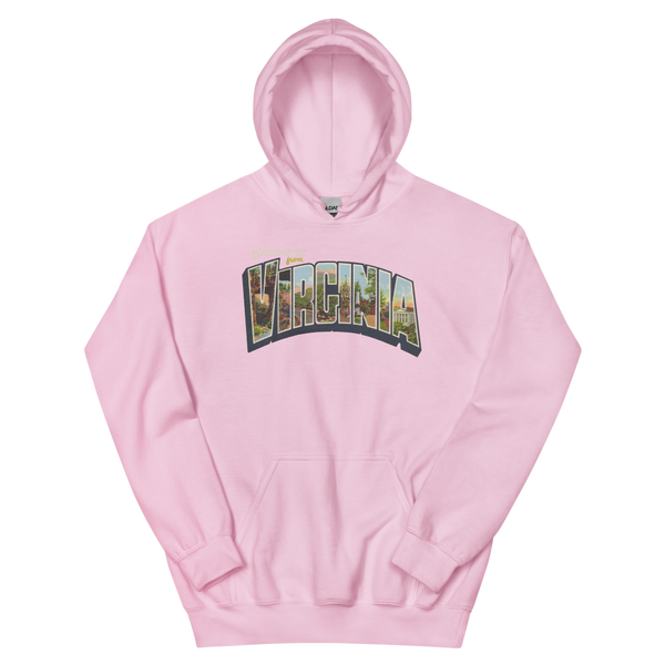 Greetings from Virginia Hoodie