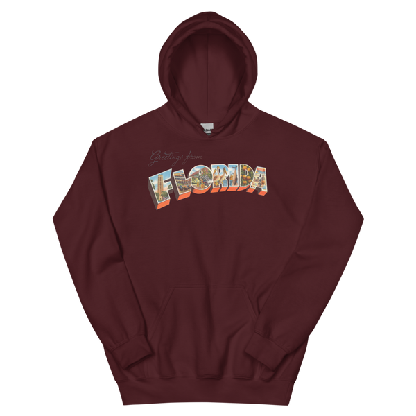 Greetings from Florida Hoodie