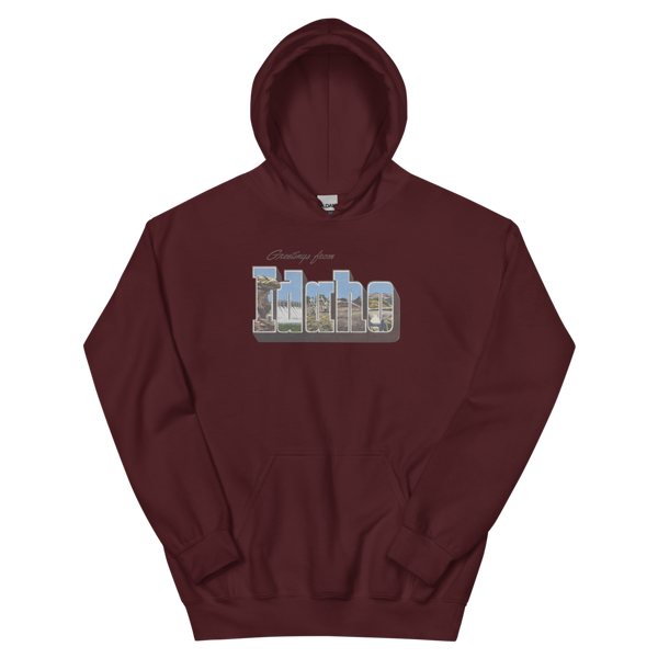 Greetings from Idaho Hoodie