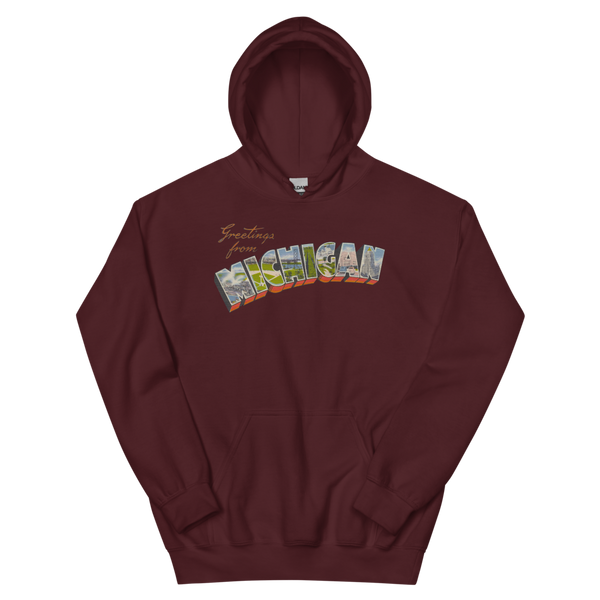 Greetings from Michigan Hoodie
