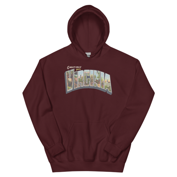 Greetings from Virginia Hoodie