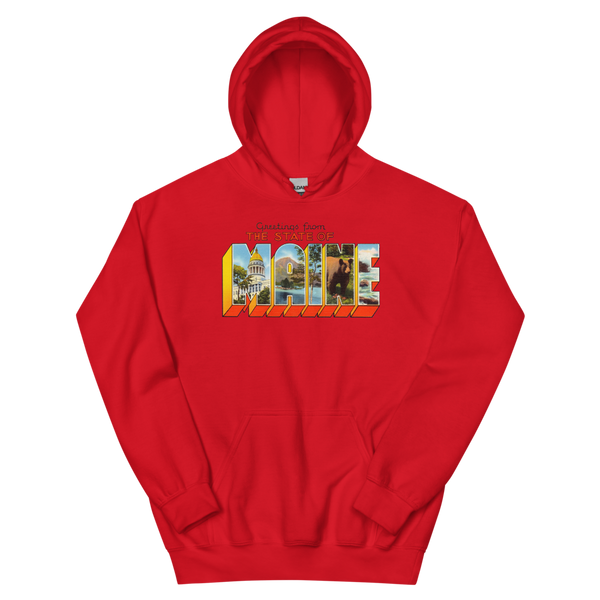 Greetings from Maine State Hoodie