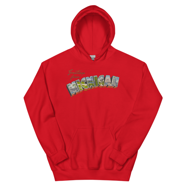Greetings from Michigan Hoodie