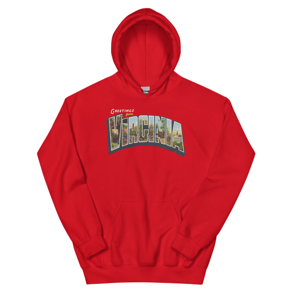 Greetings from Virginia Hoodie