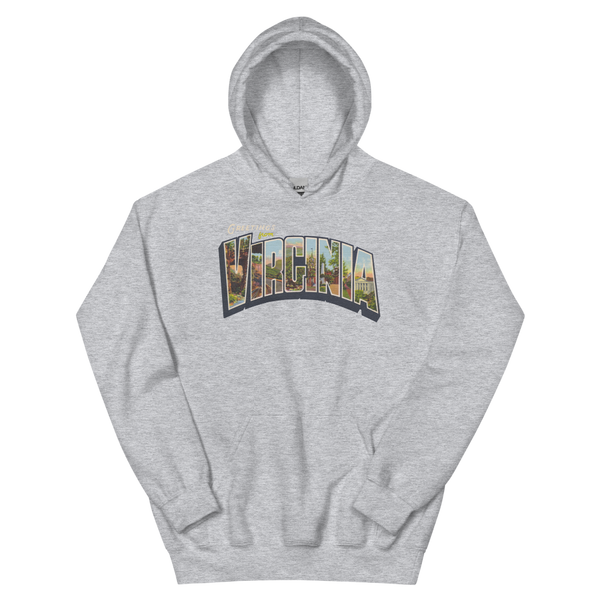Greetings from Virginia Hoodie