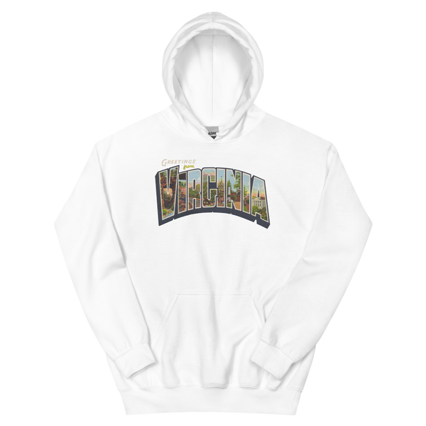 Greetings from Virginia Hoodie